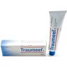 Guna Spa Guna Traumeel S Crema 100g