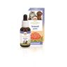 BUSH BIOTHERAPIES Pty Ltd Travel Pets 30ml