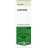 Erba Vita OLIO ESSENZA Canfora 10ml