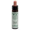 SANTIVERI Ainsworths beech 10ml