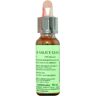 PROMOPHARMA Florit - 38 Willow (Salice Giallo) 10ml