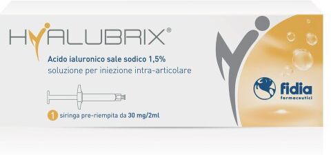 Fidia Farmaceutici Spa Hyalubrix 30mg/2ml Fidia 1 Siringa