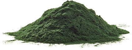 antica farmacia orlandi spirulina alga tallo polvere 100 gr