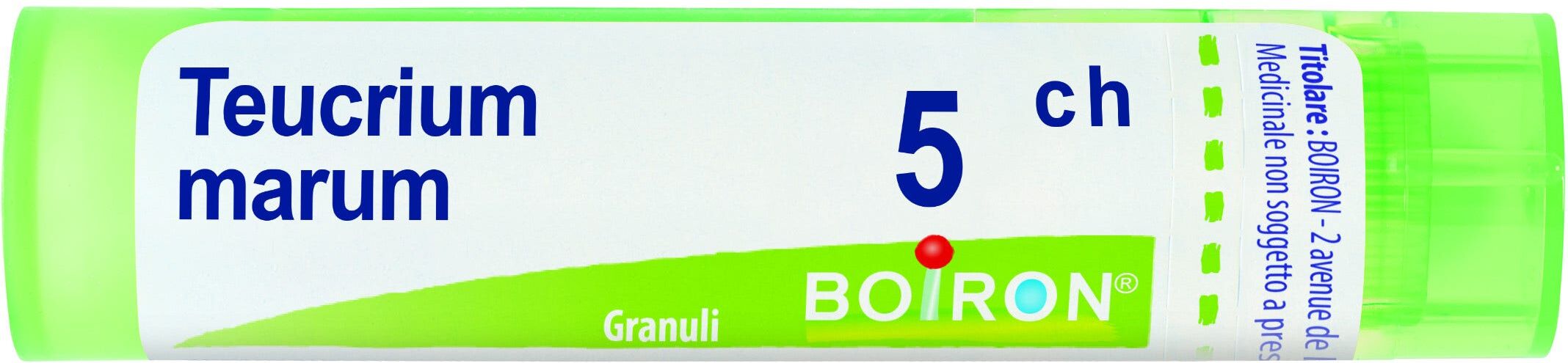 Boiron Teucrium Marum 5 Ch 80 Gr 4 G