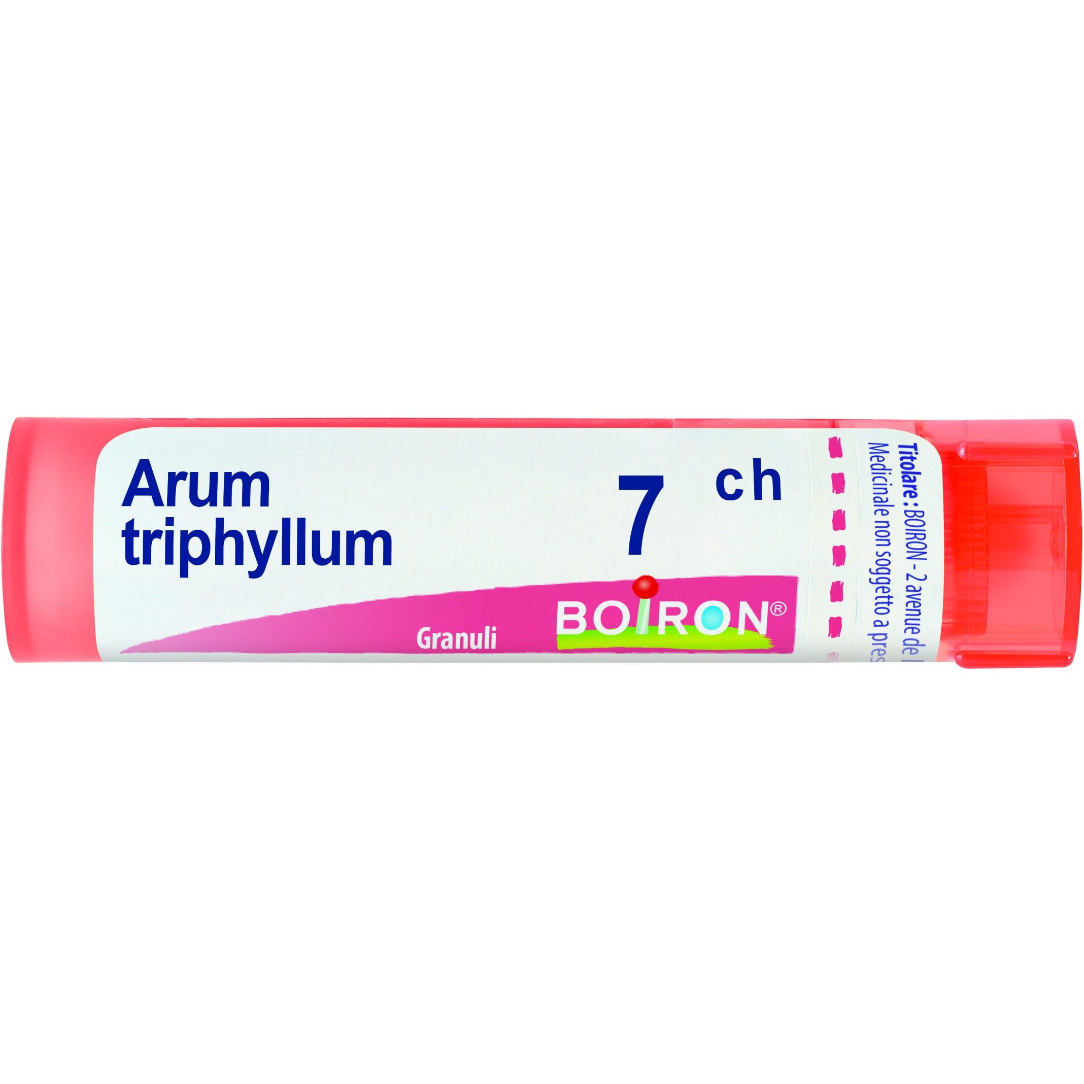 Boiron Arum Triphyllum 7 Ch 80 Gr 4 G