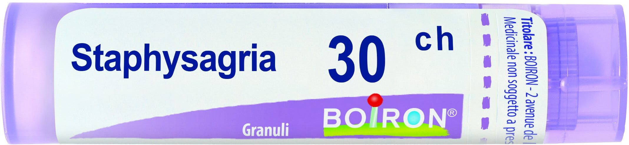 Boiron StaphysaGria 30 Ch 80 Gr 4 G