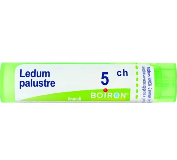 Boiron Ledum Palustre 5 Ch Granuli