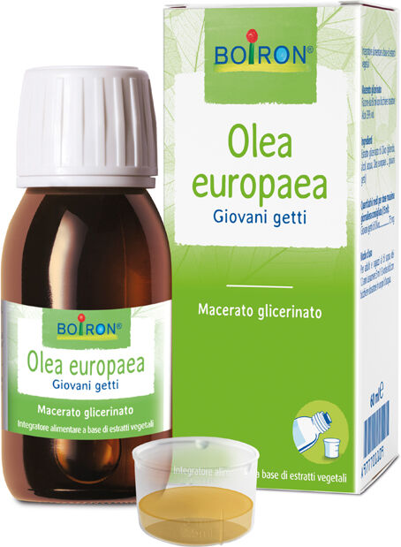 Boiron Olea Europaea Giovani Getti Integratore di Estratti Vegetali 60 ml