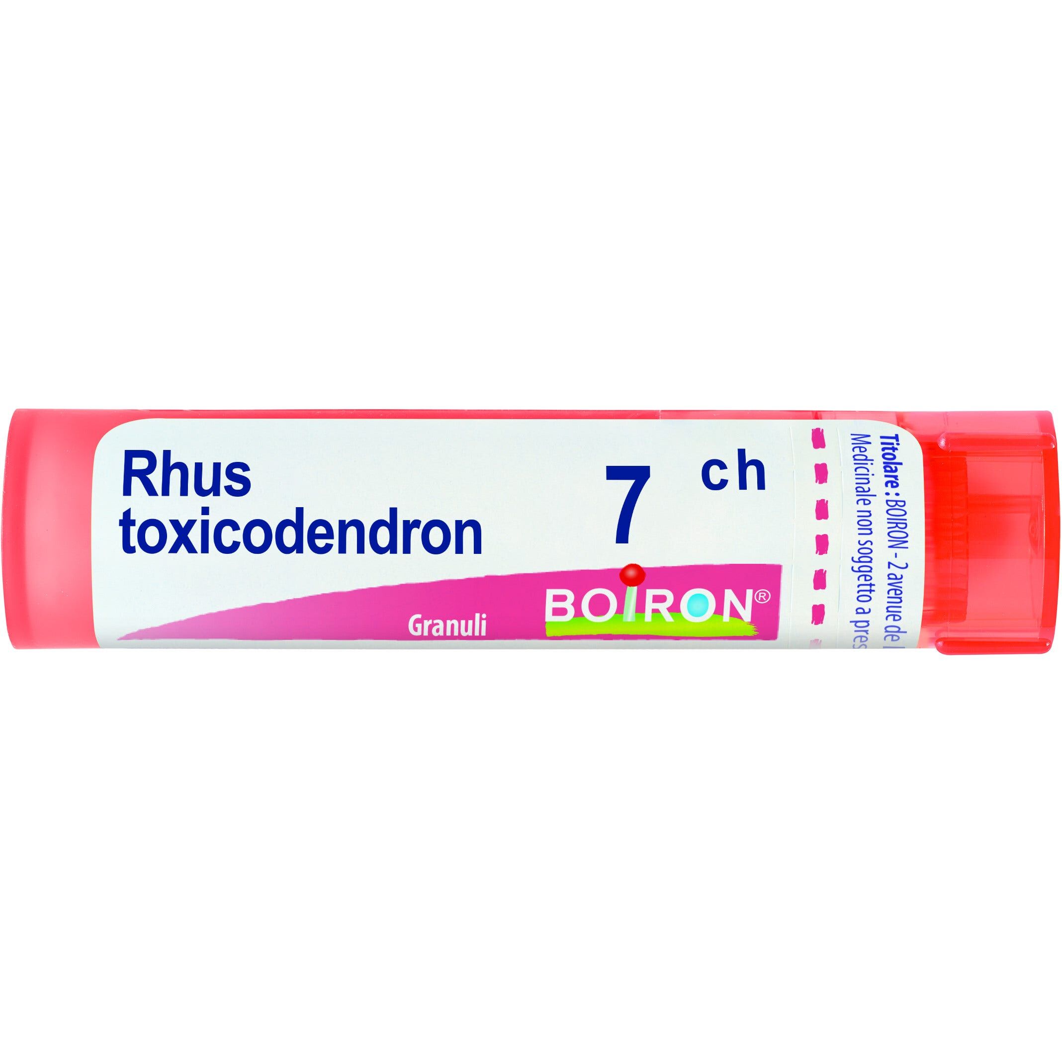 Boiron Rhus Toxicodendron 7 Ch 80 Gr 4 G