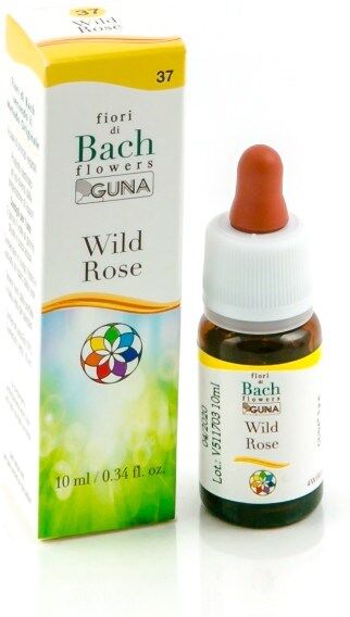 Guna WILD ROSE GUN GTT 10ML