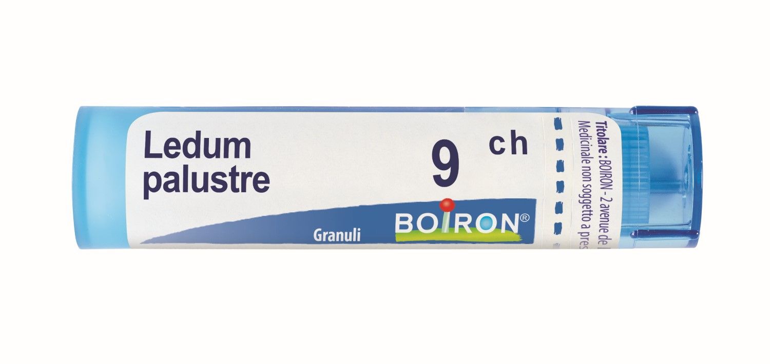 Boiron Ledum Palustre 9ch Granuli