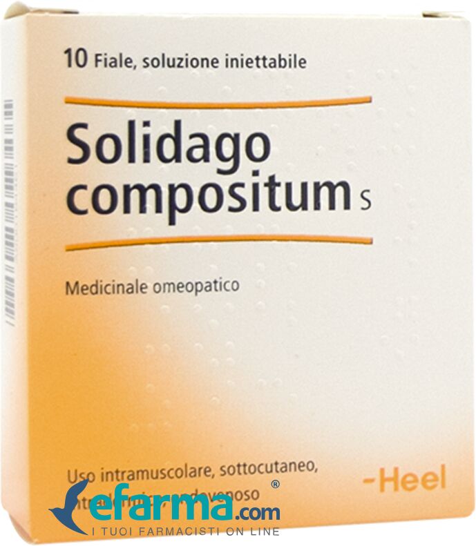 Guna -Heel Solidago Compositum S Medicinale Omeopatico 10 Fiale