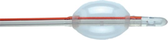 COLOPLAST Foley Catetere in Silicone 2 Vie 18 CH 1 Pezzo