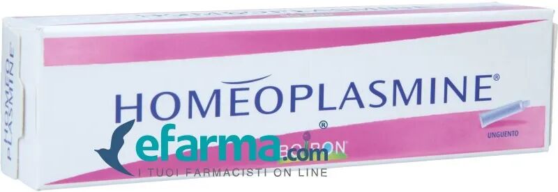 Boiron Homeoplasmine Rimedio Omeopatico per Irritazione Mucosa Nasale 40 g