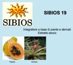 BIOLOGICA - SIBIOS SIBIOS 19 Tronchetti 25 Grammi Apparato digerente, stimolazione delle funzioni pancreatiche