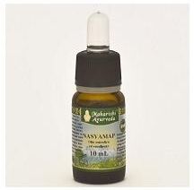 Maharishi Ayurveda NASYAMAP Flacone con pipetta contagocce da 10 ml