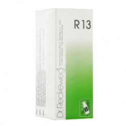 IMO DR. RECKEWEG R13 GOCCE 22ML