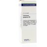 VSM Echinacea purpurea D6 (20 ml)