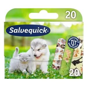 Salvequick