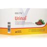 Walmark Urinal tobolky pre zdravie močových ciest 60 cps