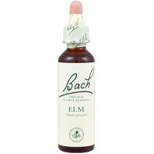 Bach Original Flower Remedies Elm 20ml (order 130 for Trade Outer)