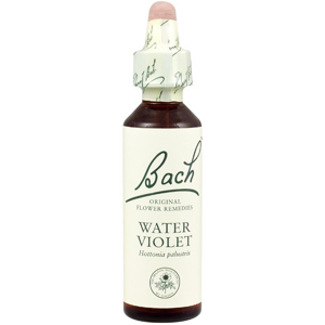 Bach Original Flower Remedies Beech 20ml (order 130 for Trade Outer)