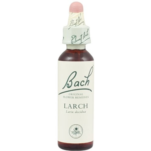 Bach Original Flower Remedies Larch 20ml (order 130 for Trade Outer)