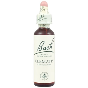 Bach Original Flower Remedies Clematis 20ml (order 130 for Trade Outer)