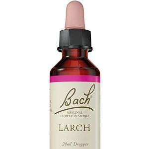 Bach Original Flower Remedies Larch, Find Joy & Hope, Have Confidence, Emotional Wellness, Natural Flower Essence, 20ml