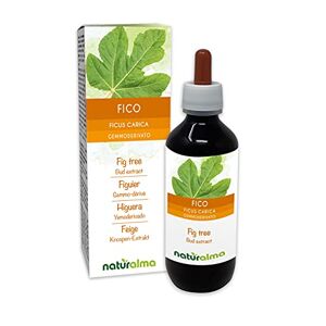 Fig Tree (Ficus carica) Alcohol-Free Bud Extract from Fresh Buds NATURALMA Liquid Drops 200 ml Food Supplement Vegan
