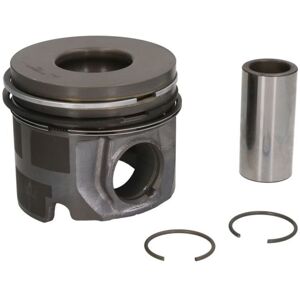 Nural Piston NÜRAL 87-113500-00