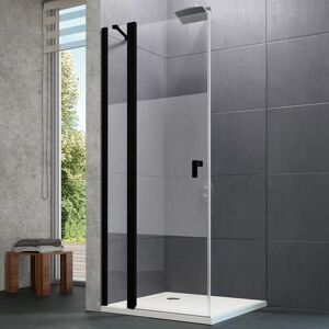 HÜPPE Design pure Porte pivotante avec éléments fixes, 8P0703123375, 8P0703