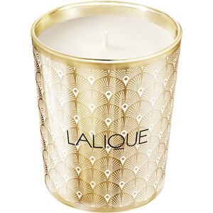 Lalique Bougie Noir Premier, Plume Blanche