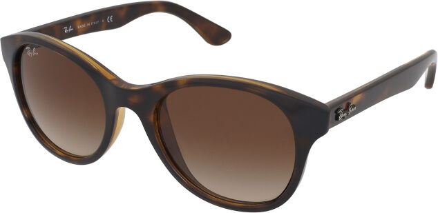 Ray-Ban RB4203 710/13