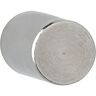 Maul Neodymium Rond Magneten Lichtzilver 2.4 kg draagkracht 10 mm 4 Stuks - Lichtzilver