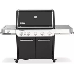 Barbecue WEBER Summit FS38 E