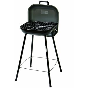 Somagic - barbecue picnic grill valisette gris - Publicité