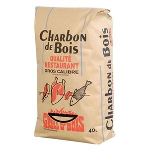 Grill O'Bois Charbon de bois 40L Qualité Restaurant - Publicité