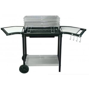 Barbecue double grille et repose-plats sur roulettes Noir 125x85x34cm