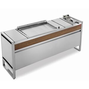 Pla.Net Table de cuisson avec plancha à gaz en inox et friteuse Oasi 205C - Publicité