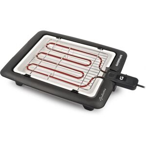 Acer BARBECUE CON VASCHETTA PORCELL.2000 G1002400