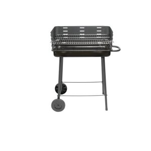 Leroy Merlin Barbecue a carbonella Pollon