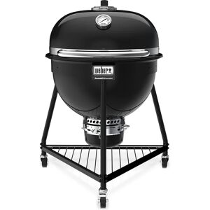 Weber Kamado a carbonella Summit E6