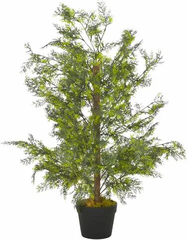 The Seasonal Aisle Cypress Tree in Pot The Seasonal Aisle  - Size: 50cm H x 100cm W x 1.4cm D