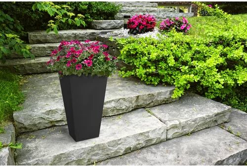 Freeport Park Casimir Plastic Self-Watering Plant Pot Freeport Park Colour: Black, Size: 70cm H x 36cm W x 36cm D  - Size: 30 cm H  x  60 cm W