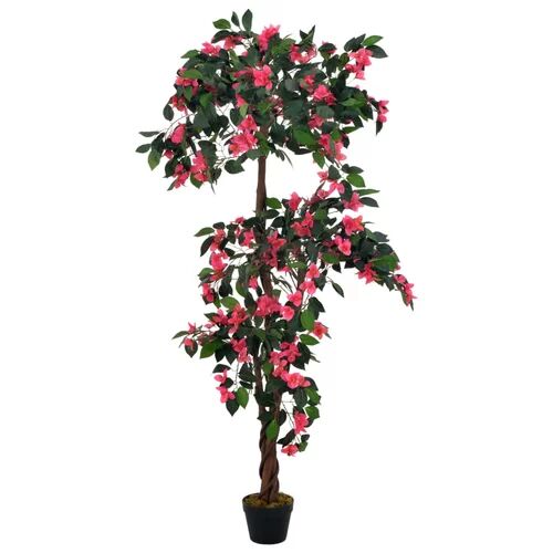 The Seasonal Aisle Rhodondendron Tree in Pot The Seasonal Aisle  - Size: 50cm H x 50cm W x 1.8cm D