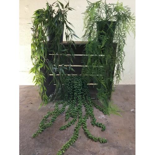 The Seasonal Aisle 3 Piece Mixed Plant in Pot Set The Seasonal Aisle  - Size: Rectangle 160 x 230cm