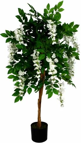 The Seasonal Aisle Wisteria Flowering Tree in Pot The Seasonal Aisle  - Size: