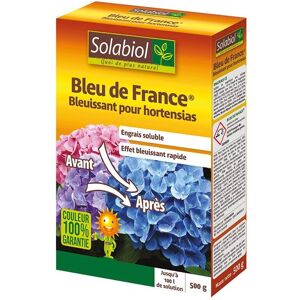 Bleu de France - 500 g