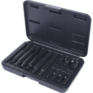 KS TOOLS Embouts Ribes (Ref: 911.4306)